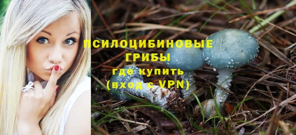 синтетический гашиш Алексеевка
